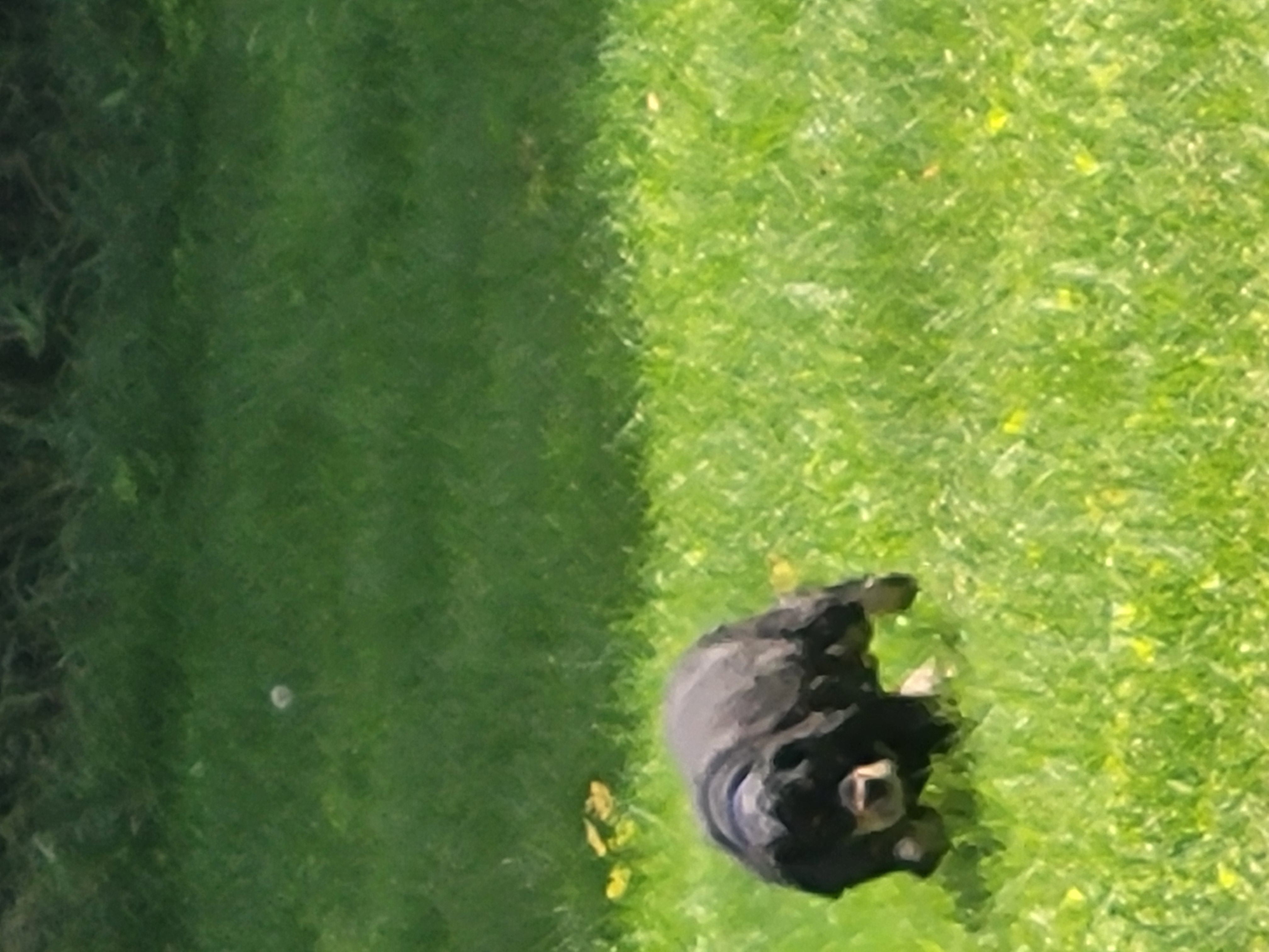 Lucy in stalker mode