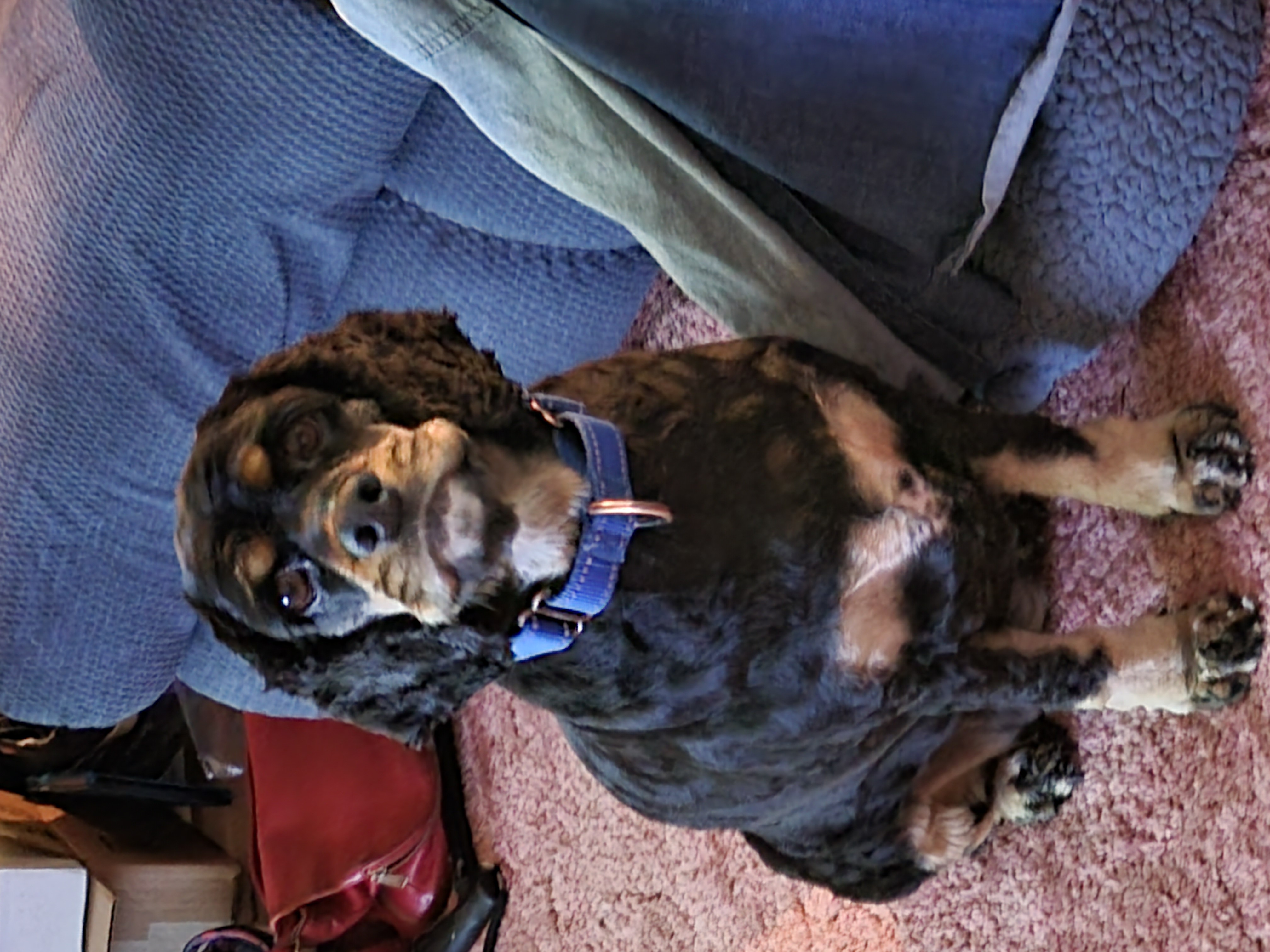 Lucy portrait